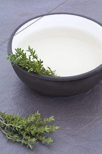 Biosphoto | 925285 | Cup of herbal tea and thyme sprigs fresh thyme | &copy; Frédérique Bidault / Biosphoto