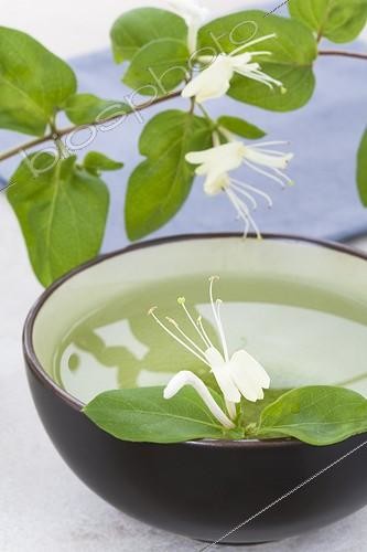 Biosphoto | 1132882 | Cup of Honeysuckle Tea and Honeysuckle flowers  | &copy; Frédérique Bidault / Biosphoto