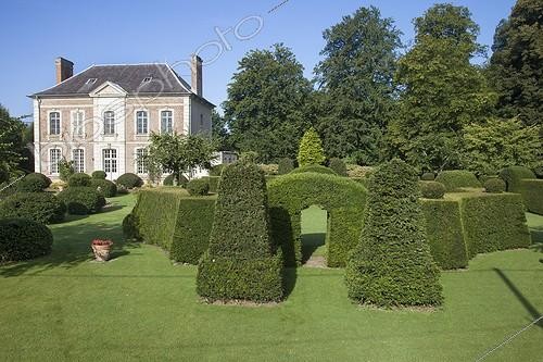 Biosphoto | 2024454 | Cupressocyparis hedge and yew topiairies in a garden | &copy; Dominique Dumas / Biosphoto