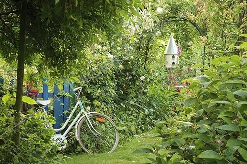 Biosphoto | 1001667 | Cycling on the gate and birdhouse Le jardin des Lianes ; Le jardin des lianes | &copy; Hervé Lenain / Biosphoto