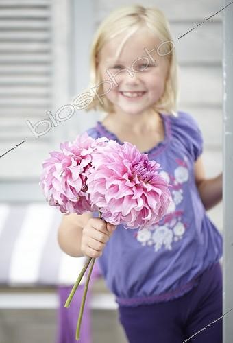 Biosphoto | 1631514 | Dahlia ; Child with Dahlia | &copy; Visions Botanical / Visions Pictures / Biosphoto