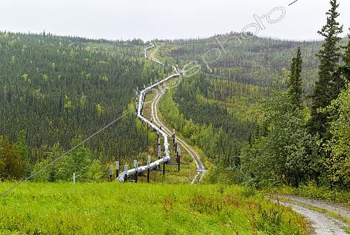 Biosphoto | 2149828 | Dalton Highway : de Fairbanks à Prudhoe Bay, Trans Alaska Pipeline System (TAPS), En automne le pipeline dans son trajet aérien au sud de la chaine de Brooks (Brooks Range) et du col d' Atigun (Atigun Pass ,mile 244 ) | &copy; Robert Valarcher / Biosphoto