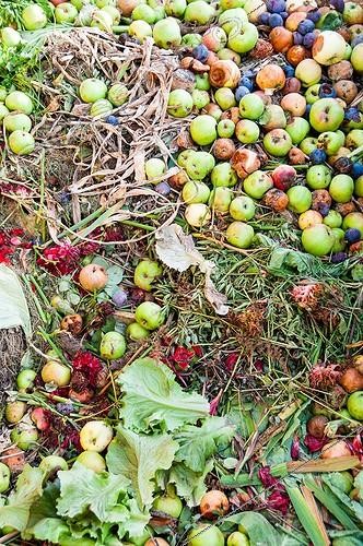 Biosphoto | 2012345 | Déchets organiques sur un tas de compost au jardin | &copy; Yann Avril / Biosphoto