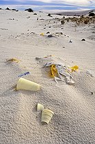 Biosphoto | 1249391 | Déchets sur une dune de sable blanc White Sands NM USA | &copy; Daniel Heuclin / Biosphoto