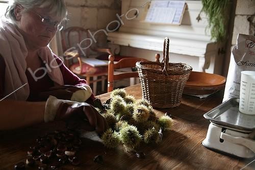 Biosphoto | 1417590 | Décortiquage de la récolte de châtaignes | &copy; Patricia Méaille / Biosphoto