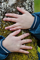 Biosphoto | 2609577 | Découverte nature en primaire - Mains d'enfant enlaçant un tronc couvert de mousse - France | &copy; Dominique Delfino / Biosphoto