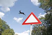 Biosphoto | 2457596 | Deer jumps out of the traffic sign, funny, freedom, montage, Lauda, Germany, Europe | &copy; our-planet.berlin / imageBROKER / Biosphoto