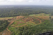 Biosphoto | 2583235 | Deforestation in the Amazon, aerial view of the outskirts of the village of Cacao, which produces many of French Guiana's foodstuffs and is expanding rapidly. Régina, French Guiana. | &copy; Vincent Premel / Biosphoto
