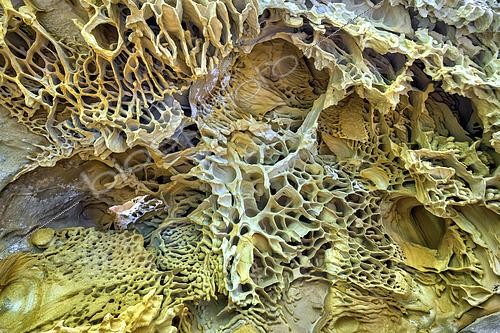 Biosphoto | 2595746 | Dentelles naturelles (Géoformes) dans les grès de Jaizkibel (Pays Basque espagnol). Remarquables sculptures de grès éocènes (géoformes) d'origine en partie biologique (activités biologiques fossiles appelées Paramoudra, concrétions autour des terriers de vers marins) et mises à jour puis sculptées en nid d'abeille par l'érosion - Massif côtier de Jaizkibel - Espagne | &copy; Jean-Philippe Delobelle / Biosphoto