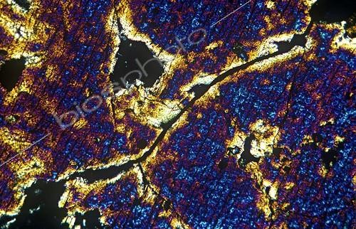 Biosphoto | 157108 | Détail de lame mince de Basalte demi-deuil Lumière polarisée ; On observe la structure microlithique de la roche basaltique.  | &copy; Jean-Claude Louchet / Biosphoto