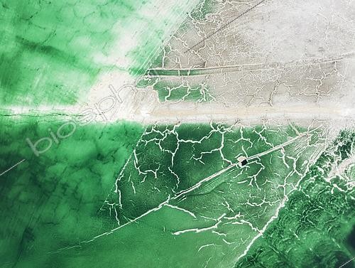 Biosphoto | 2577437 | Detail of a toxic phosphogypsum waste pond in the vicinity of the town of Huelva. Aerial view. Drone shot. Huelva province, Andalusia, Spain. | &copy; Thomas Dressler / Biosphoto