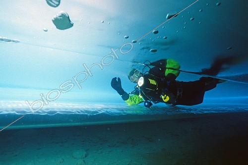 Biosphoto | 641241 | Diver swimming under the ice at Lake Ceillac Queyras | &copy; Didier Brandelet / Biosphoto