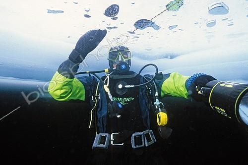 Biosphoto | 641239 | Diver under the ice at Lake Ceillac Queyras | &copy; Didier Brandelet / Biosphoto