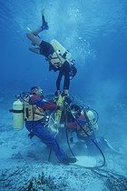 Biosphoto | 696069 | Divers performing underwater Red Sea Egypt  | &copy; Frédéric Pacorel / Biosphoto