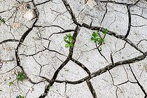 Biosphoto | 2584745 | Dried clay mud, cracking, dry puddle, drought, Villey-Saint-Etienne, Lorraine, France | &copy; Stéphane Vitzthum / Biosphoto