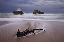 Biosphoto | 1251020 | Driftwood on a beach after a storm France | &copy; Laurent Lhoté / Biosphoto