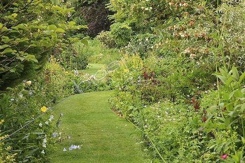Biosphoto | 1001666 | Driveway lined with flower Massif Le Jardin des Lianes ; Le jardin des lianes | &copy; Hervé Lenain / Biosphoto