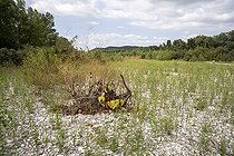 Biosphoto | 2588064 | Drome river bed near the mouth in a situation of water stress despite a rainy spring, river with a low flow due to the general drought in the region very affected by climate change in Loriol sur Drome, France. | &copy; Antoine Boureau / Biosphoto