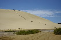 Biosphoto | 1249667 | Dune du Cap Reinga sur l'île du Nord en Nouvelle-Zélande | &copy; Michel Rauch / Biosphoto