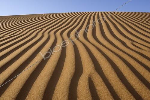 Biosphoto | 83028 | Dune in the sand desert  United Arab Emirates  | &copy; Xavier Eichaker / Biosphoto