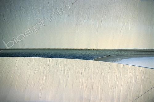 Biosphoto | 1995480 | Dunes et lagunes interdunaires - Lençóis Maranhenses Brésil | &copy; Régine Rosenthal / Biosphoto