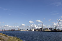 Biosphoto | 2610012 | Dunkirk Port Industrial Zone, Nord, France | &copy; Yann Avril / Biosphoto