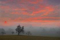 Biosphoto | 2462386 | Dusk in the meadows, Vosges du Nord Regional Nature Park, France | &copy; Michel Rauch / Biosphoto