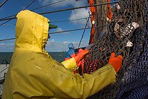 Biosphoto | 2075190 | Dutch fishing vessel fishing on the Northies for sole and flounder | &copy; Ton Koene / Visual and Written - Photo Collection / Biosphoto