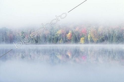 Biosphoto | 1536286 | Early morning mist and autumn coloured trees on an island in Lac Bouchard Lake, La Mauricie National Park, Québec, Eastern Canada | &copy; Michael Peuckert / imageBROKER / Biosphoto