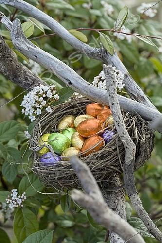 Biosphoto | 584813 | Easter eggs in nest in the garden | &copy; Philippe Giraud / Biosphoto