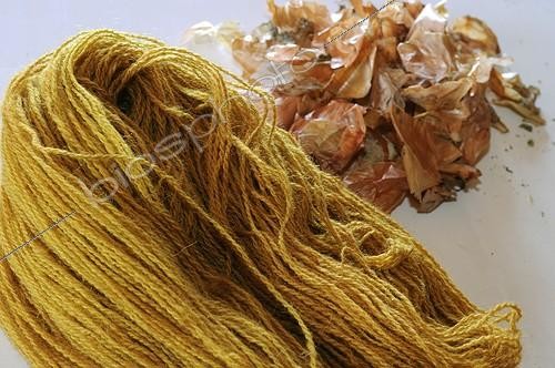 Biosphoto | 555963 | Echeveau de laine de Mouton teint artisanalement et Oignon ; Teinture artisanale. Echeveau. Commune d'Orbey : Teinture artisanale en utilisant des Cochenilles, du Lichen, du Genêt, des écorces. | &copy; Denis Bringard / Biosphoto