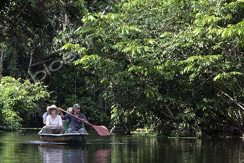 Biosphoto | 2435729 | Ecotourism in flood forest, Napo Wildlife lodge, Yasuni Nationl Park, Amazon, Ecuador | &copy; Michel Gunther / Biosphoto