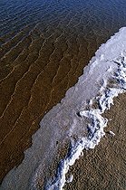 Biosphoto | 591528 | Ecume de sel sur une berge du Lac salé PN Ras Mohamed Egypte | &copy; Wilfried Louvet / Biosphoto