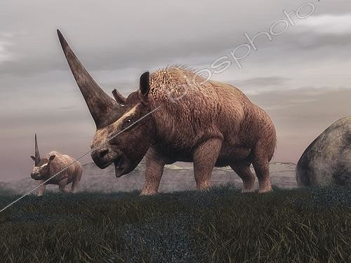 Biosphoto | 2472027 | Elasmotherium marchant dans la steppe | &copy; Elena Duvernay / Stocktrek Images / Biosphoto