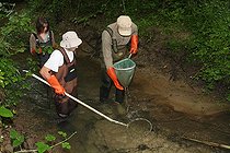 Biosphoto | 1247172 | Electric fishing in the Bievre at Pressins in Isère | &copy; Jean-François Noblet / Biosphoto