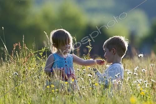 Biosphoto | 1250689 | Enfants jouant dans une prairie en fleurs Norfolk RU | &copy; David Tipling / Biosphoto