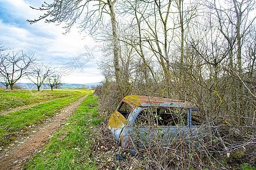 Biosphoto | 2628310 | Epave d'une Simca Aronde sur un chemin de campagne, Chevinay, Rhône, France | &copy; Philippe Lebeaux / Biosphoto