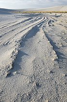 Biosphoto | 1250453 | Eroded ridges of compacted gypsum White Sands NM USA | &copy; Daniel Heuclin / Biosphoto