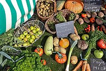 Biosphoto | 2575179 | Etal de comice agricole, Exposition de légumes et de fruits, Oize, Sarthe, France | &copy; Michel Gile / Biosphoto