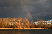 Biosphoto | 2581538 | L'étang du Blauelsand sous un ciel d'orage au soleil couchant, avec un arc-en-ciel à la fin de l'hiver, dans la Réserve Naturelle Nationale du massif forestier de la Robertsau et de La Wantzenau. Alsace, France | &copy; Yves Noto Campanella / Biosphoto