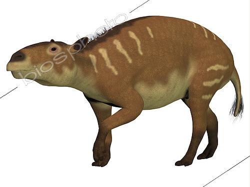 Biosphoto | 2472629 | Eurohippus, cheval primitif qui vivait à l'Éocène moyen dans les forêts tropicales d'Europe et d'Asie | &copy; Corey Ford / Stocktrek Images / Biosphoto