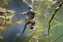Biosphoto | 1249056 | European Frog spawn in a lake and Jura France | &copy; Michel Loup / Biosphoto