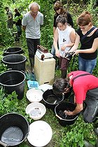 Biosphoto | 1247173 | Examen de Poissons pêchés dans la Bièvre en Isère | &copy; Jean-François Noblet / Biosphoto