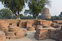 Biosphoto | 1605418 | Excavations at the Dhamek Stupa, Buddhist holy place Sarnath, Uttar Pradesh, India, Asia | © Olaf Krueger / imageBROKER / Biosphoto