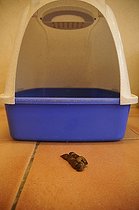 Biosphoto | 913169 | Excrement from a cat litter to France  | &copy; Sébastien Herent / Biosphoto