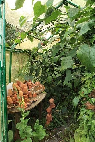 Biosphoto | 754170 | Exubérance et exotisme dans le Jardin de Marie-Ange France ;  La serre de Jocelyne  | &copy; Hervé Lenain / Biosphoto