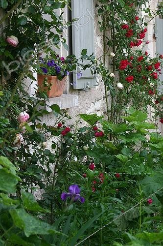 Biosphoto | 1417497 | Façade champêtre d'une maison | &copy; Patricia Méaille / Biosphoto