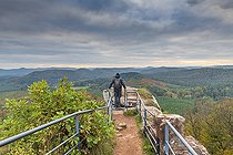 Biosphoto | 2438390 | Falkenstein Castle in autumn, Northern Vosges, Moselle, France | &copy; Yann Avril / Biosphoto