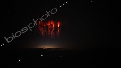 Biosphoto | 2590954 | Farfadets au dessus d'un orage près de Lyon, photographiés depuis Utelle, dans les Alpes-Maritimes, France | &copy; Christophe Suarez / Biosphoto