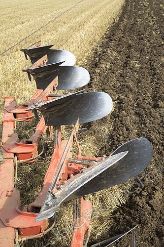 Biosphoto | 2592043 | Farmer, ploughing, turning wheat stubble with a 5-share reversible plough. France | &copy; Claudius Thiriet / Biosphoto